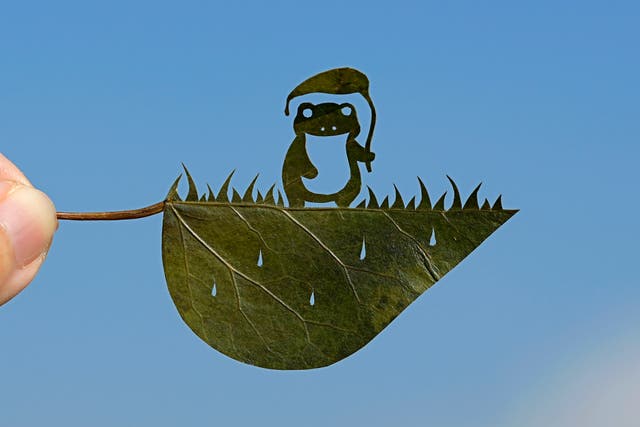 APTOPIX Japan Leaf Cutting Artist
