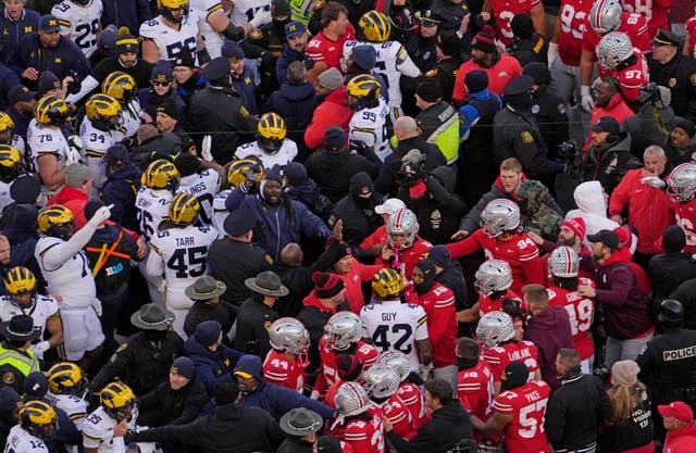 <p>Police used pepper spray as Michigan and Ohio State players fought at the end of their game on November 30 </p>