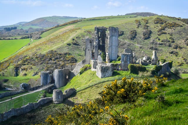 <p>Corfe Castle in the village of the same name in Dorset </p>