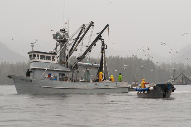 Coast Guard Boat Capsized