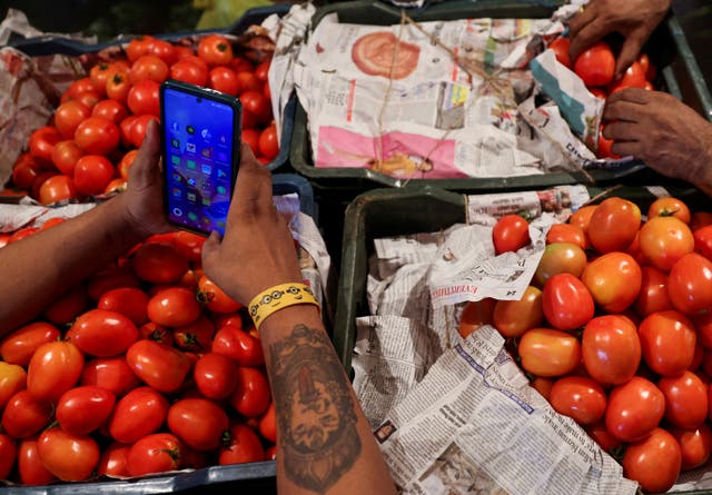 <p>Representative. Tomatoes at a vegetable wholesale market </p>