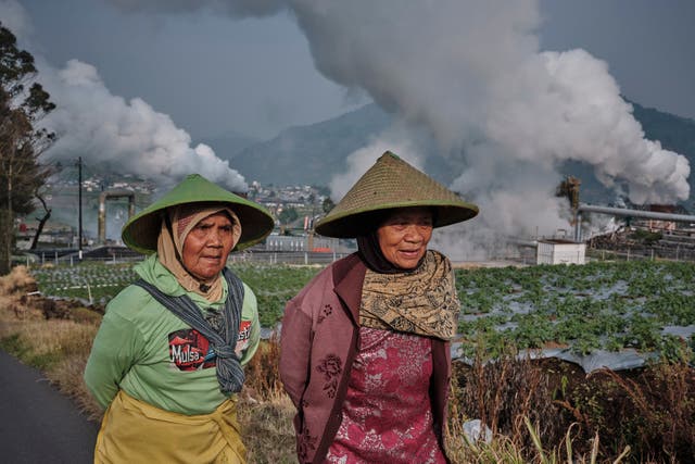 Indonesia Geothermal