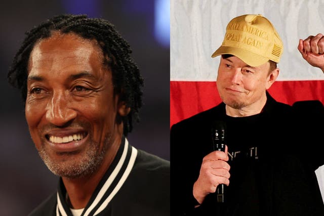 <p>Scottie Pippen and Elon Musk</p>