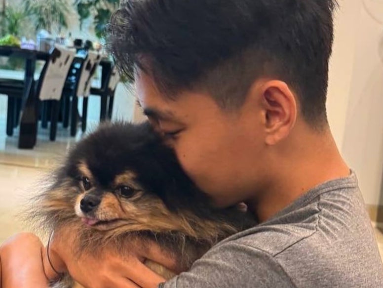 BTS member V reveals his beloved dog Yeontan has died | The Independent