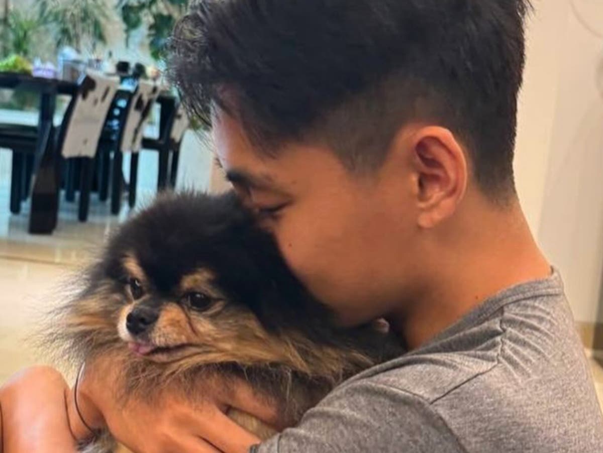 BTS member V reveals his beloved dog Yeontan has died