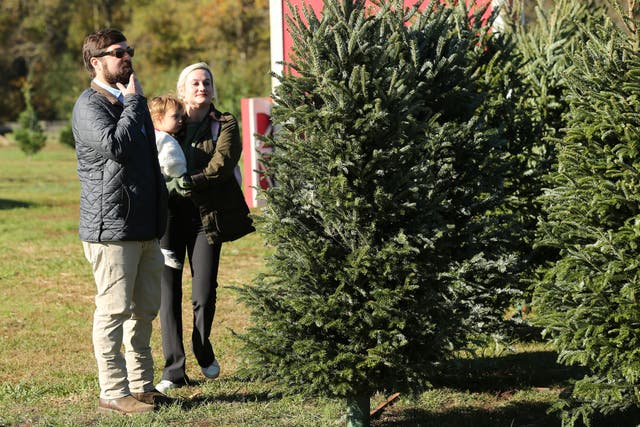 <p>Bailey Peters, his wife Katherine, and their daughter Jane, look for a Christmas Tree at Carnes Farms in Pontotoc, Mississippi, last month. Christmas tree farmers are reporting losses this year after a massive drought and historic temperatures </p>