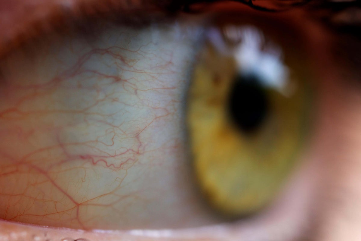 The ‘new’ colour only ever seen by five people in the world