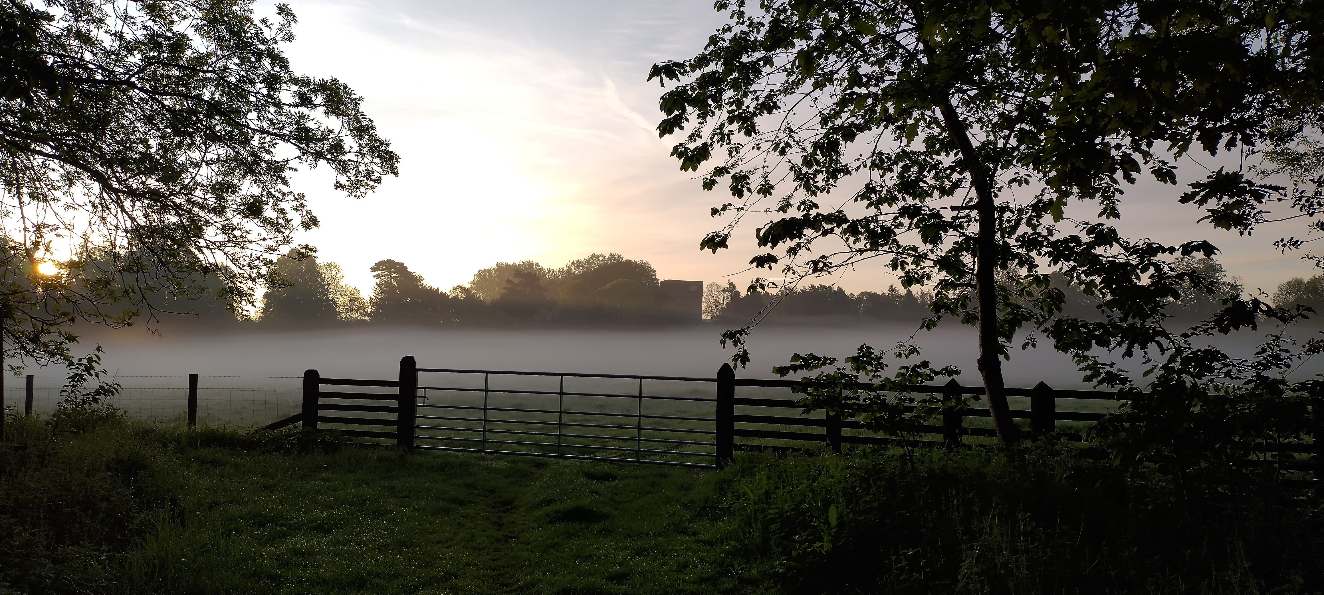 A misty morning with the water tower in the background