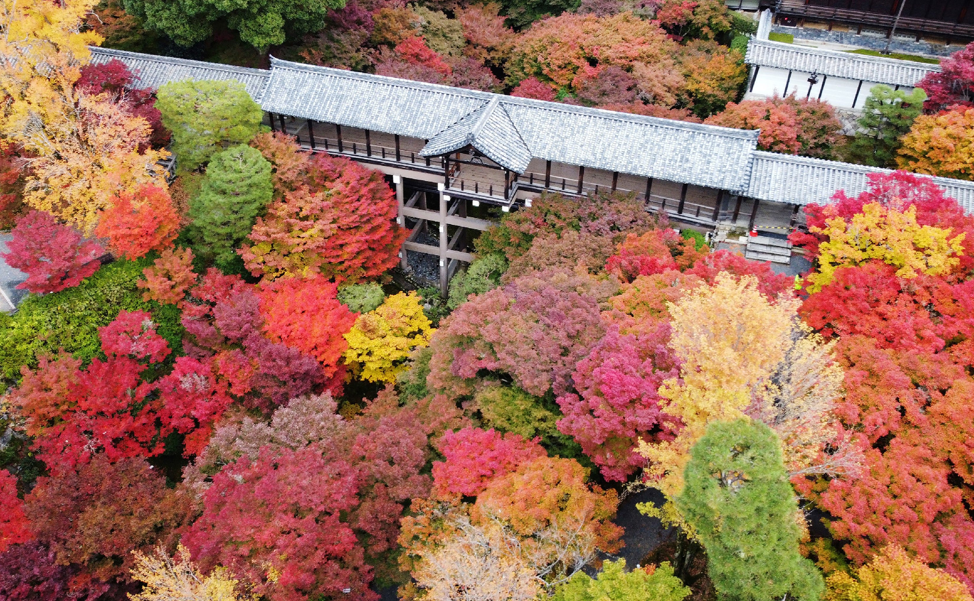 Picture taken on 2 October shows people looking at the colourful autumn leaves at their peak in the Tokachi mountain range in central Hokkaido