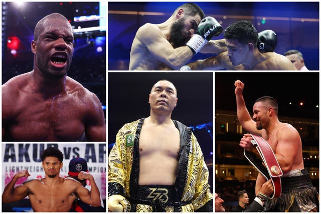 <p>Clockwise from top left: Daniel Dubois, Artur Beterbiev, Dmitry Bivol, Joseph Parker, Zhilei Zhang and Shakur Stevenson</p>