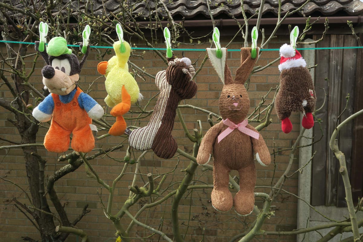 What germs are lurking in your children’s toys?