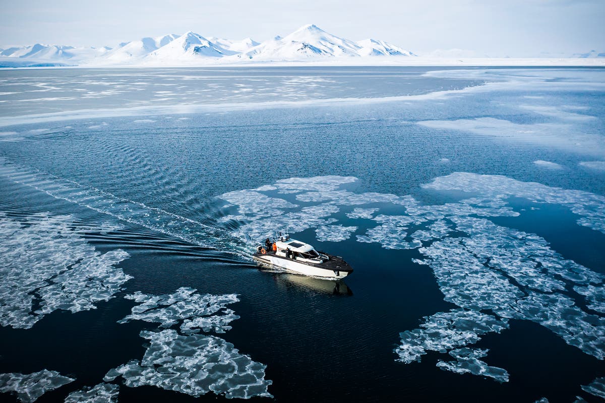 Nearly all Arctic sea ice could melt by the summer of 2027, scientists warn