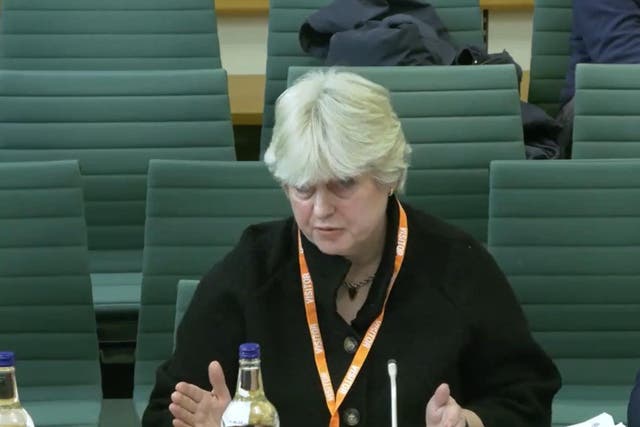 Helen Charlton, chair of the Financial Services Consumer Panel, spoke to MPs on the committee (House of Commons/PA)