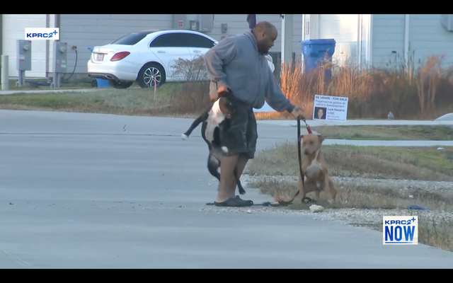 <p>Man tries to protect his dog after feral dog went for the pet as reporters were filming in Liberty County</p>