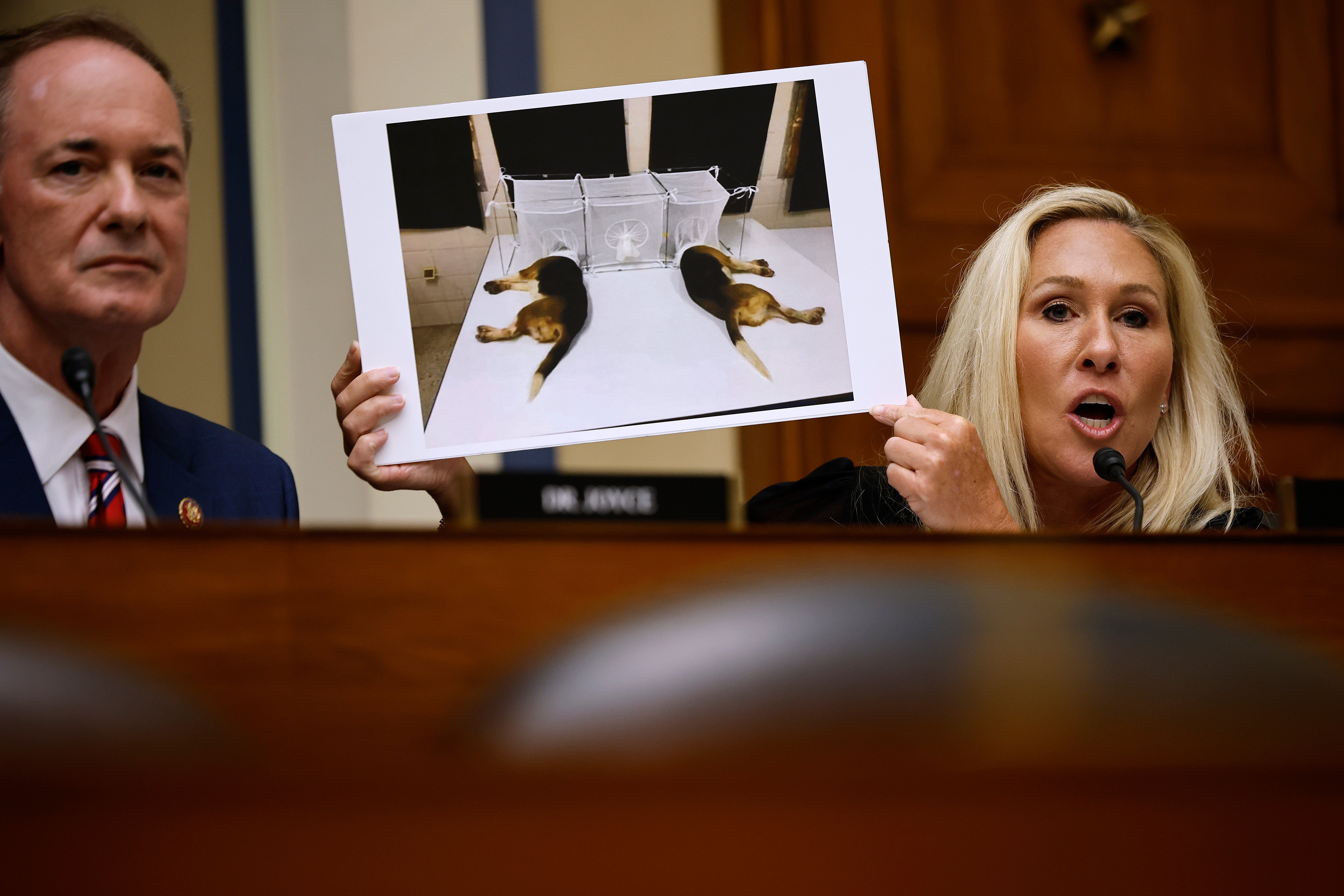 Representative Marjorie Taylor Greene, a far-right member of the House, intensely questioned Dr. Anthony Fauci – who she often accused of playing a malignant role in the pandemic