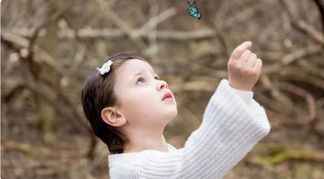 <p>Mia DeCamilla’s family says the eight-year-old cancer survivor was shoved while attending a Buffalo Bills game over the weekend</p>