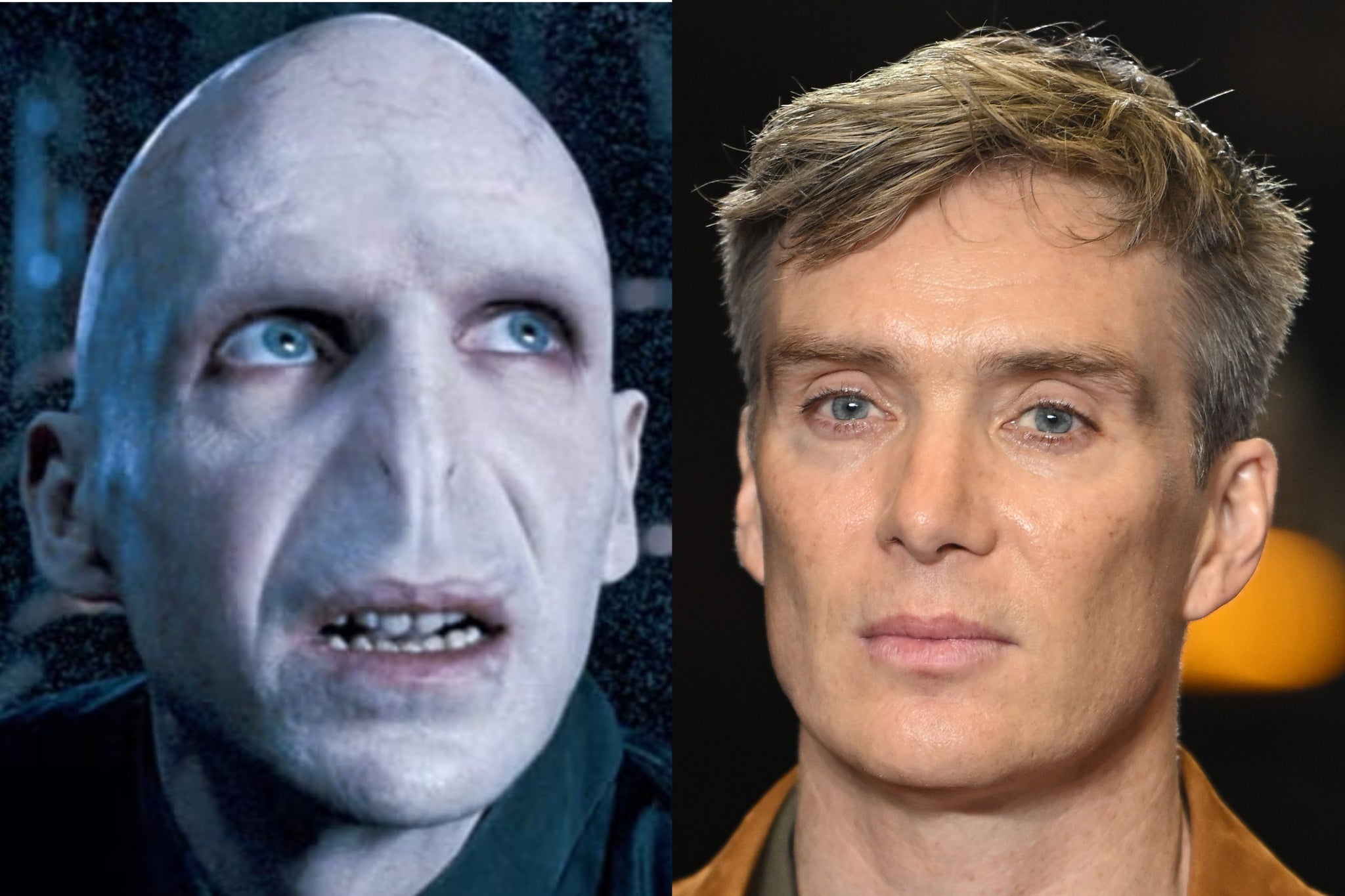 Ralph Fiennes as Voldemort, and Cillian Murphy