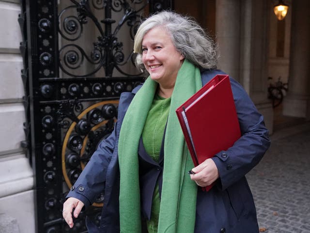 <p>Secretary of State for Transport Heidi Alexander made the announcement (Jonathan Brady/PA)</p>
