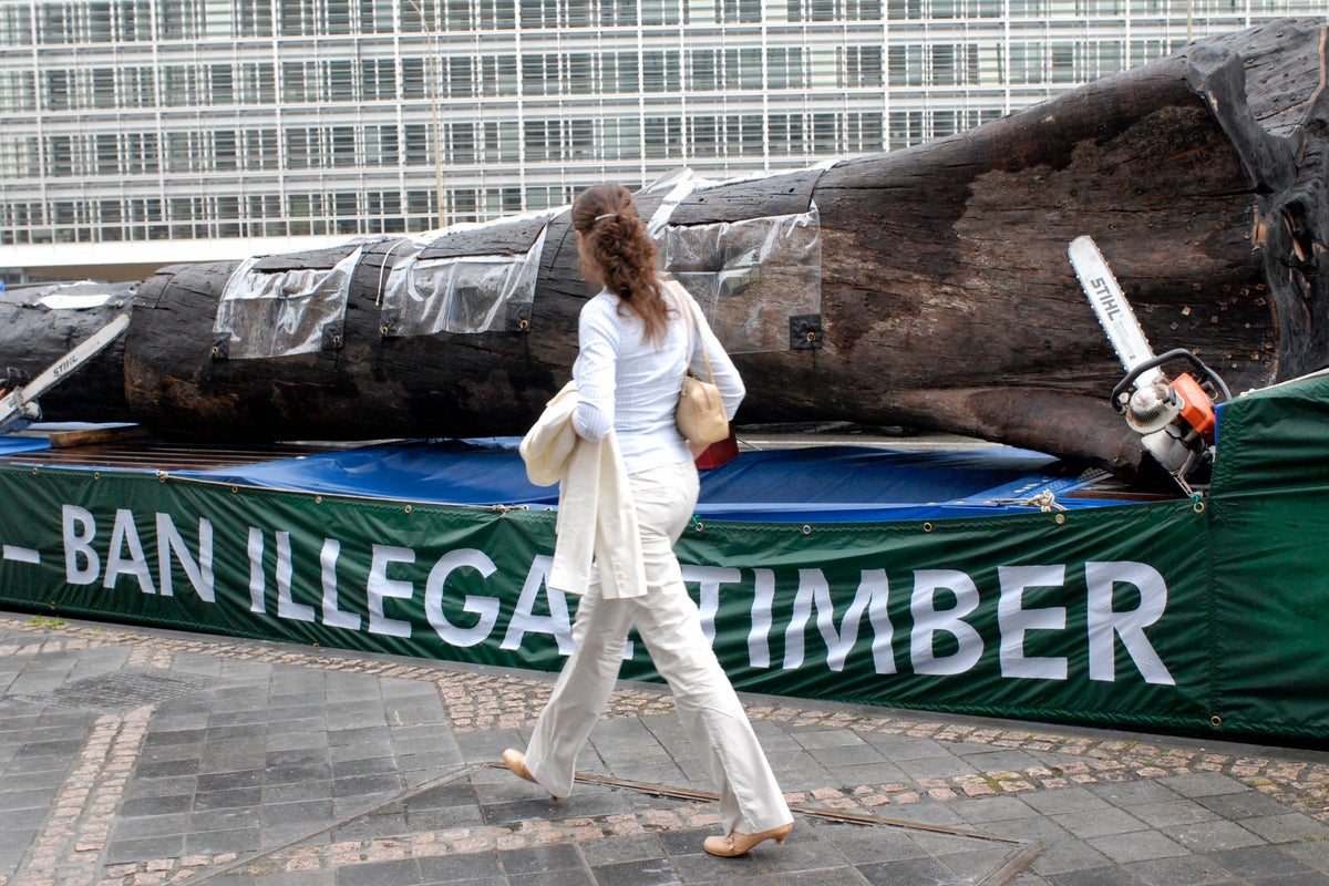 Voices: No more grandstanding: Deforestation pledges will burn in flames if we ignore inequality