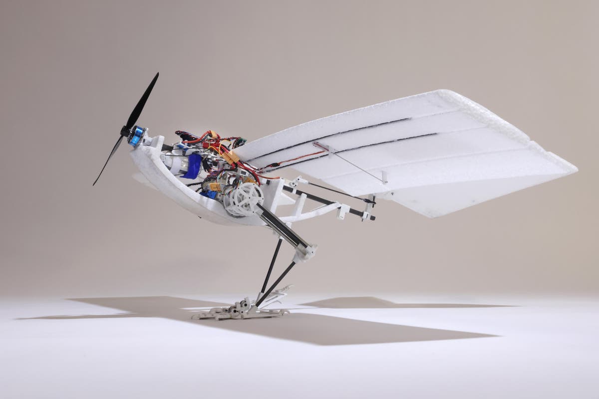 Drone inspired by birds takes off by jumping into flight