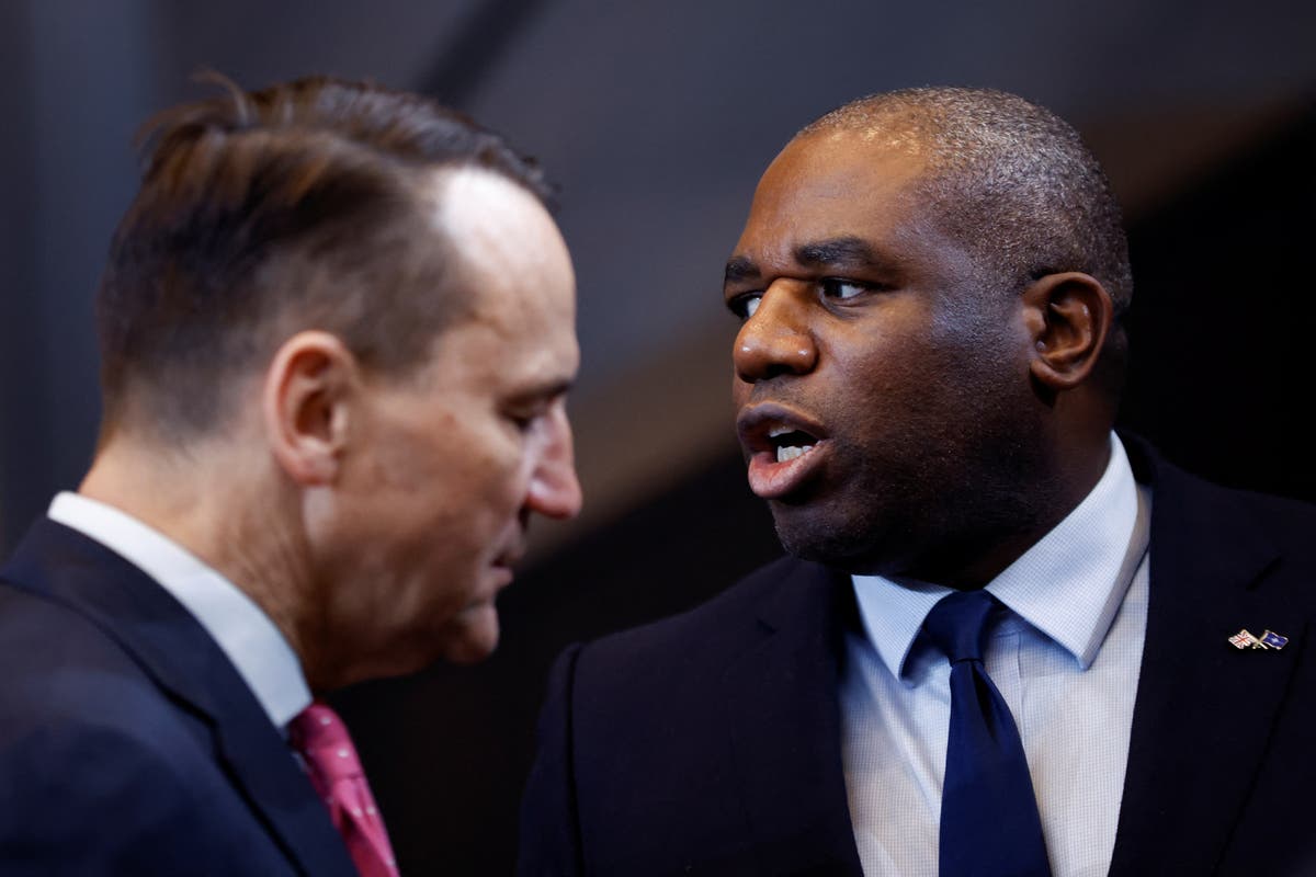 David Lammy urges EU allies to bolster defence spending ahead of Trump return