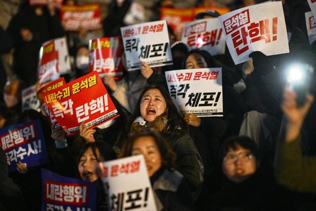 <p>Protestors in Seoul calling for the president’s resignation </p>