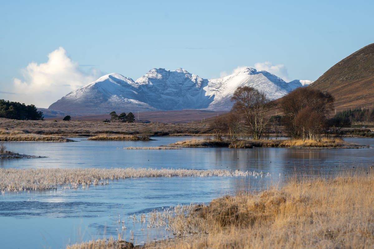 Scottish Rewilding Alliance Proposes Nature Recovery Plan