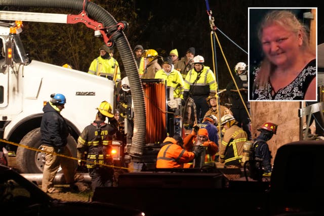 <p>Rescue crews pictured searching the sinkhole for missing grandmother Elizabeth Pollard (inset) </p>