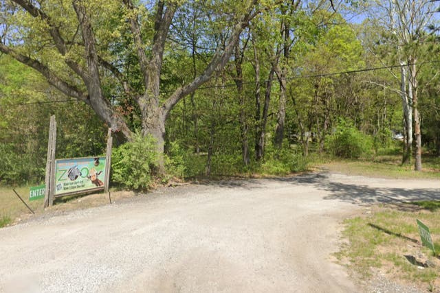 <p>Officials said it appeared a hole had been deliberately cut in a fence at a Michigan zoo (pictured) on Tuesday</p>