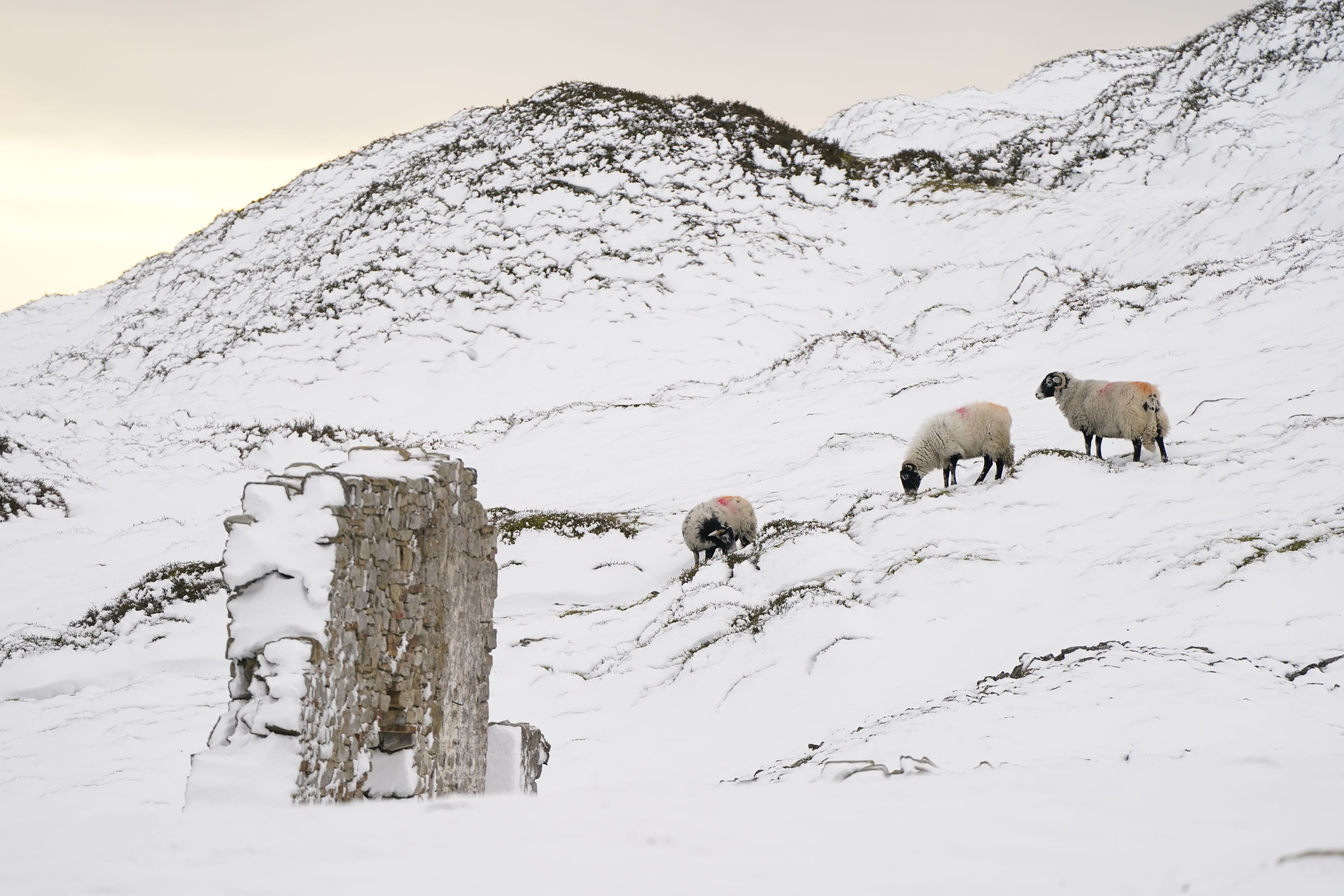 Hill farmers are among England’s poorest (Danny Lawson/PA)