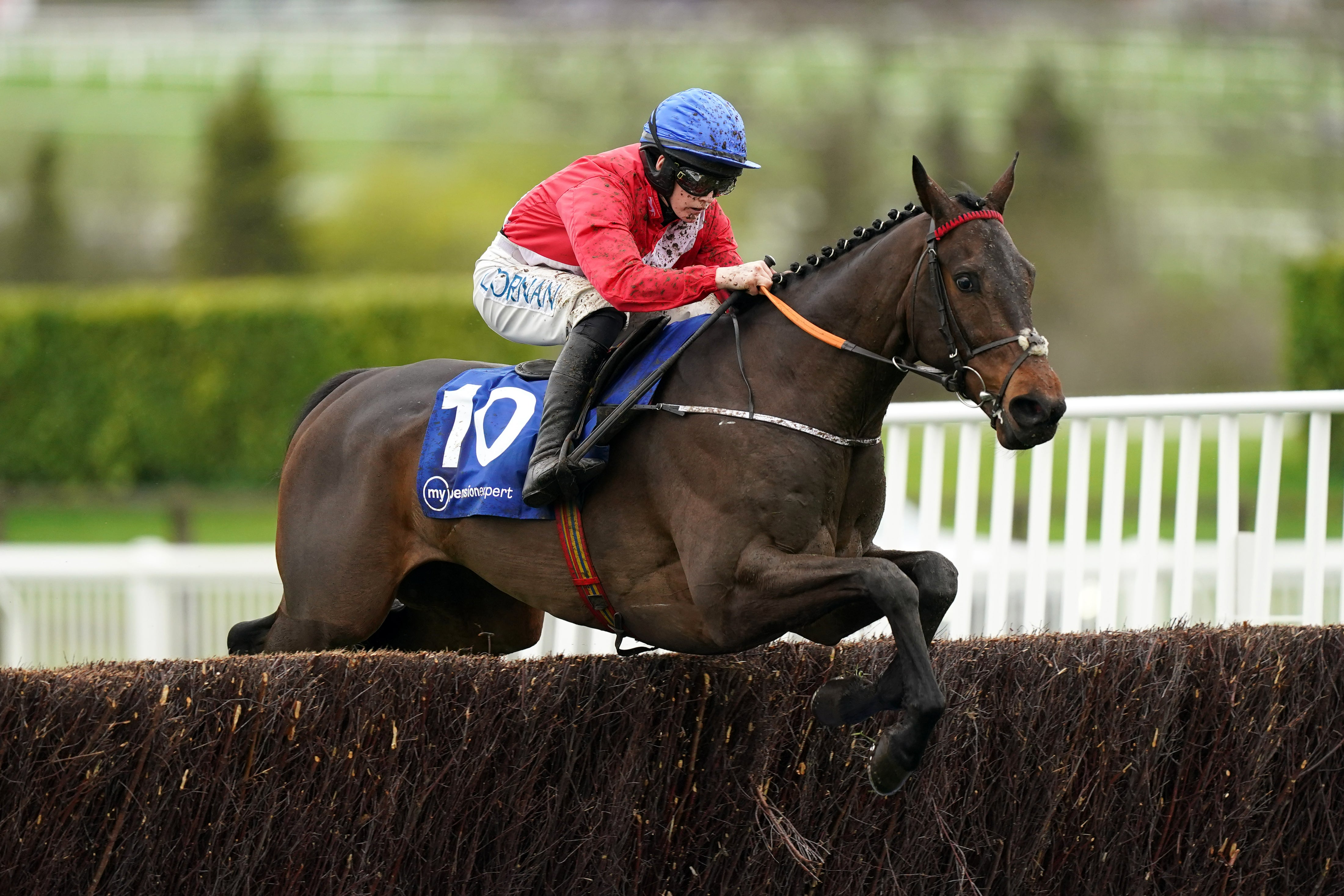 Quilixios could provide value in the Tingle Creek Chase at Sandown