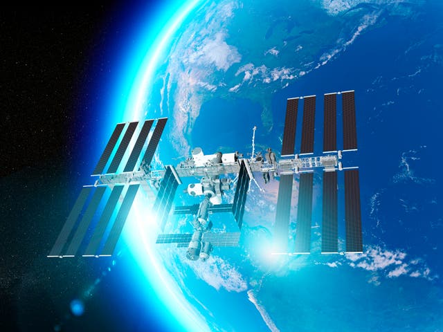 <p>Researchers compared infected E. coli bacteria on the International Space Station (ISS) and on Earth</p>