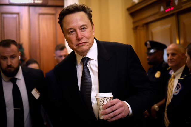 <p>Tech billionaire and “first buddy” of Donald Trump Elon Musk</p>