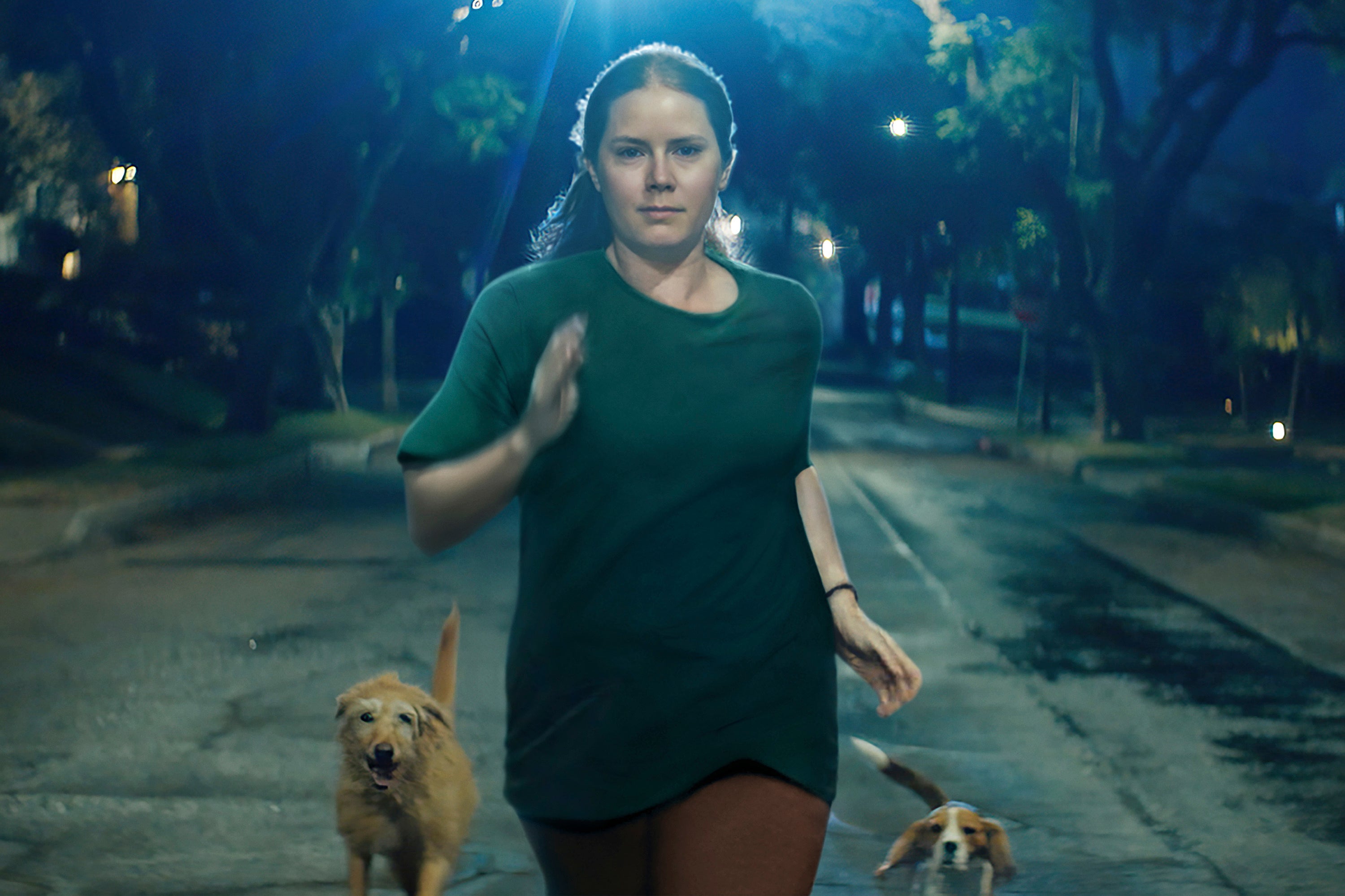 Nightbitch (2024) sees Amy Adams transform into a dog because she’s frustrated with the tedium of marriage and domesticity