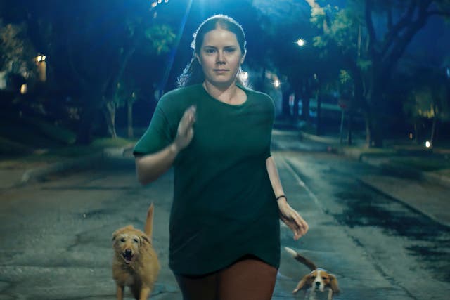 <p>Nightbitch (2024) sees Amy Adams transform into a dog because she’s frustrated with the tedium of marriage and domesticity </p>