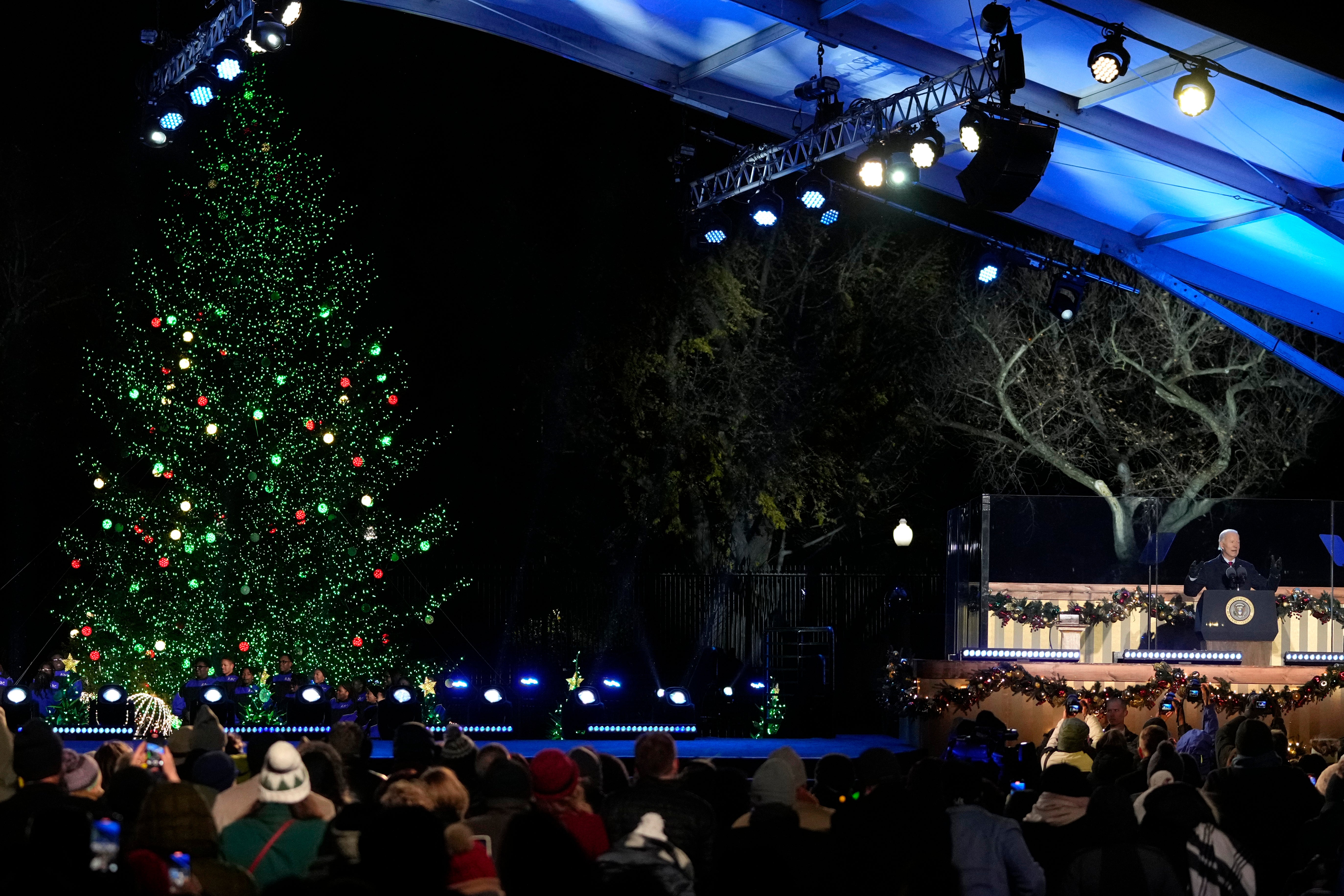 Biden Christmas Tree