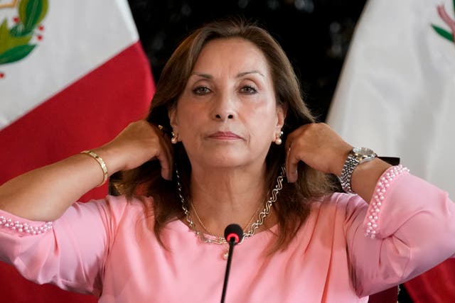 PERÚ-PRESIDENTA NARIZ