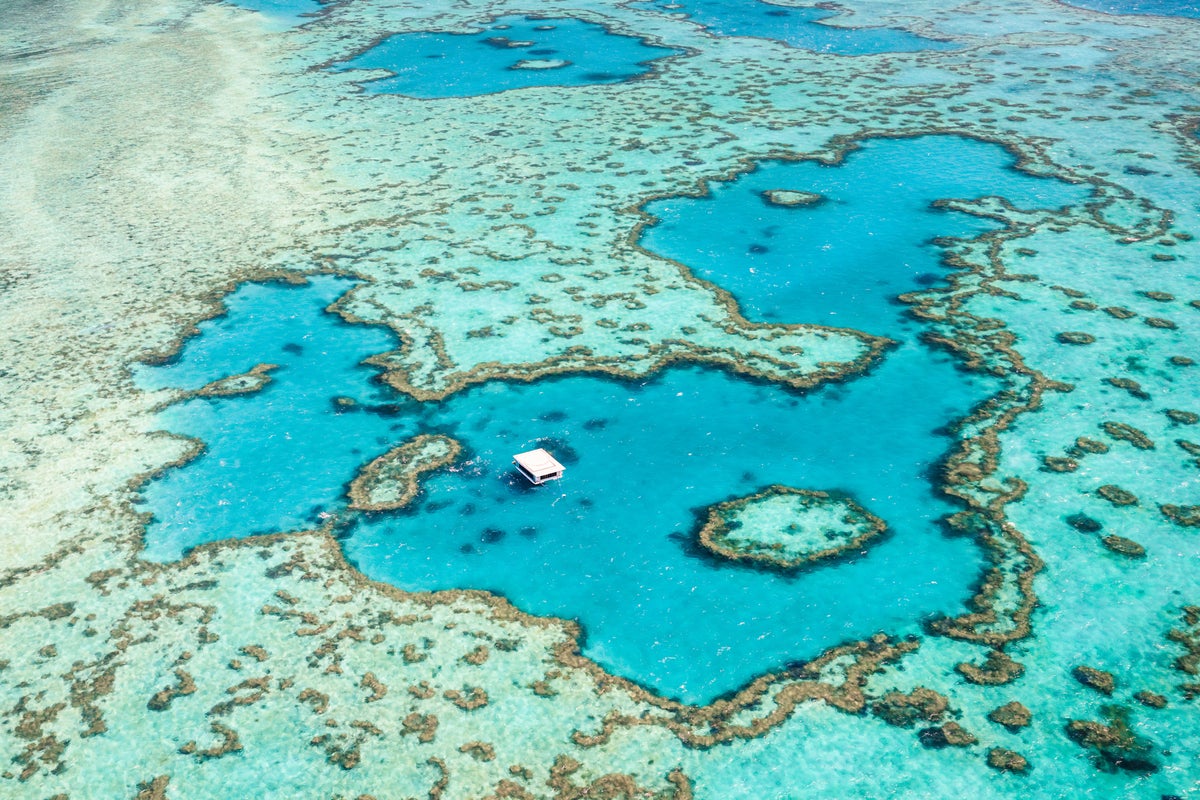 Tributes to two Brits who drowned while swimming near Great Barrier Reef