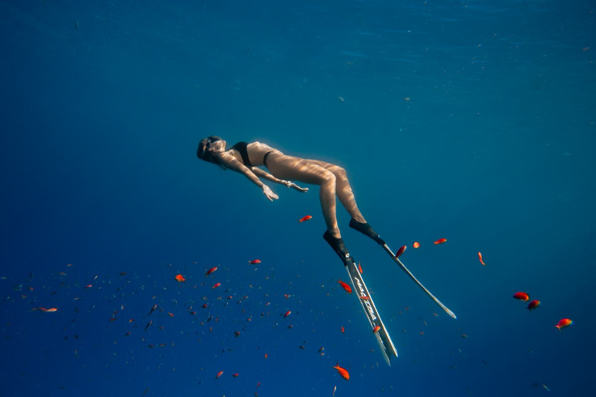 Forget cold water swimming – freediving is the latest trend for good mental health