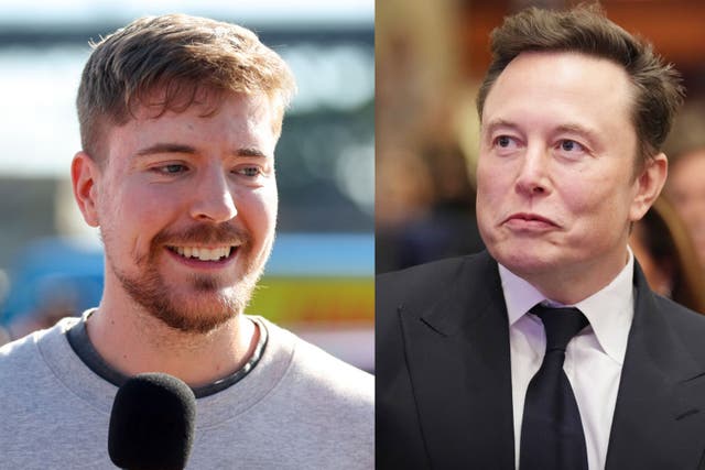 <p>MrBeast and Elon Musk</p>