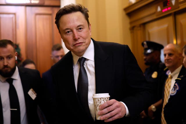 <p>Elon Musk was pictured at Capitol Hill on Thursday to take up his co-chair position on DOGE</p>