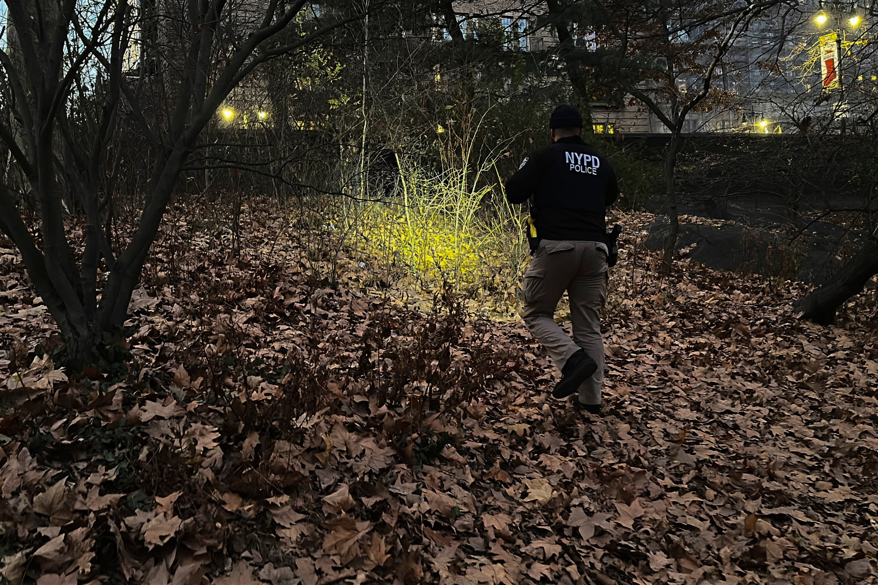 A New York City Police officer walks through brush and foliage in Central Park near 64th Street and Central Park West where the backpack was found