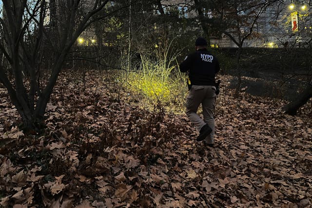 <p>A New York City Police officer walks through brush and foliage in Central Park near 64th Street and Central Park West where the backpack was found </p>