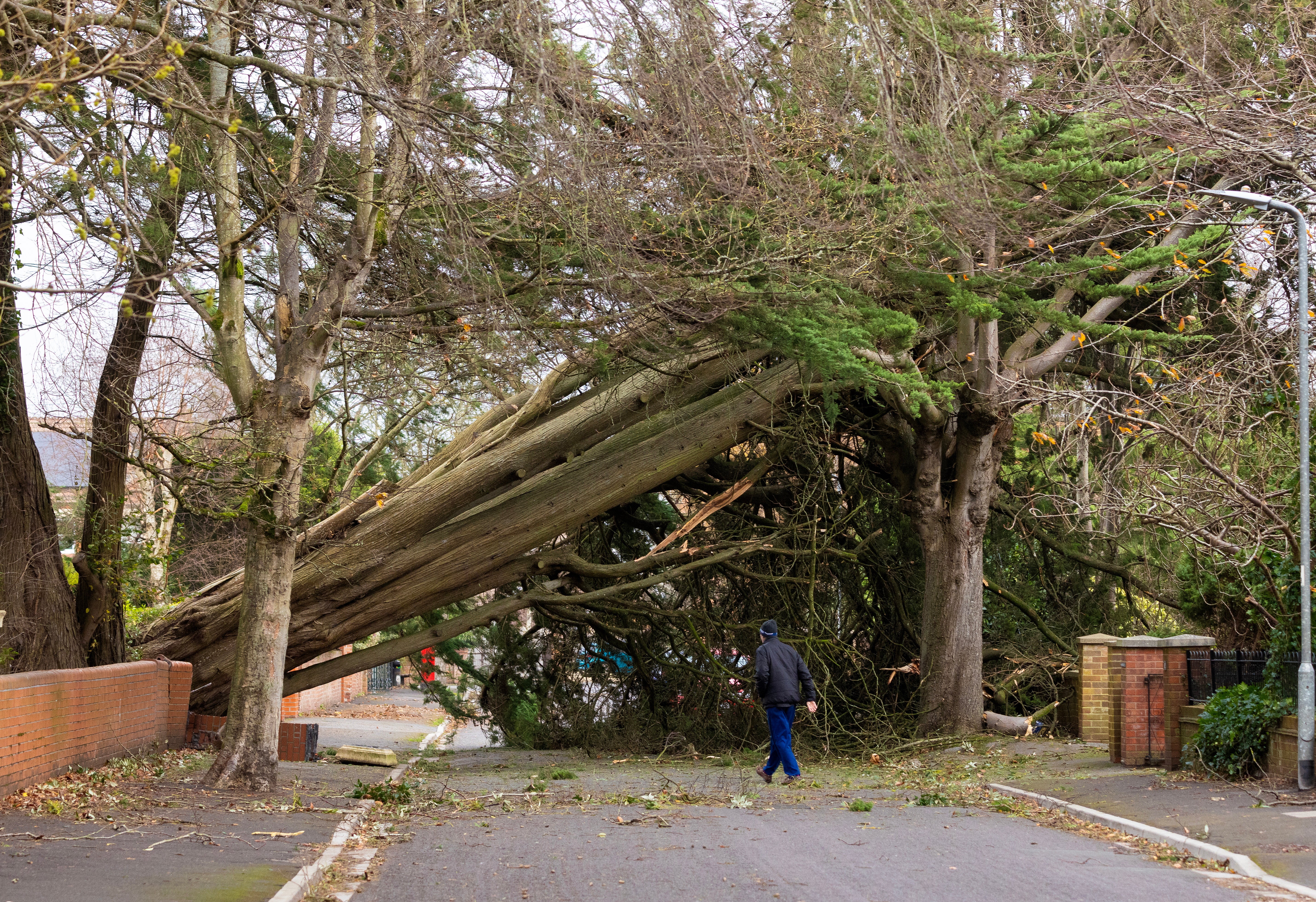 Trees and other debris has blown across train tracks as a result of the storm