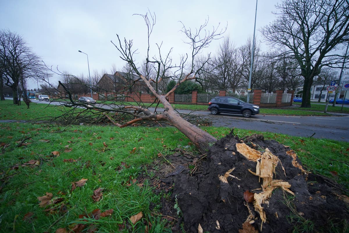 Storm Darragh live: Millions told to stay home as red alert disrupts travel and sport