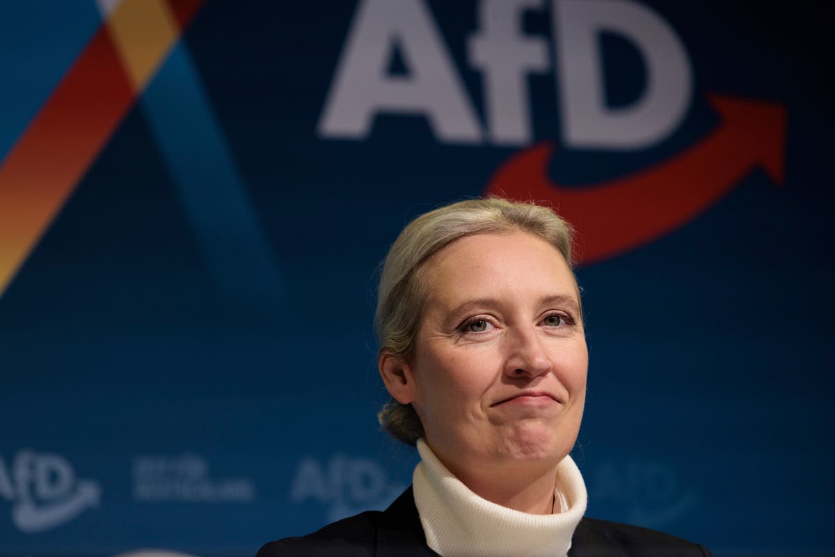 Germany's far-right AfD party nominates a candidate for chancellor in the upcoming election