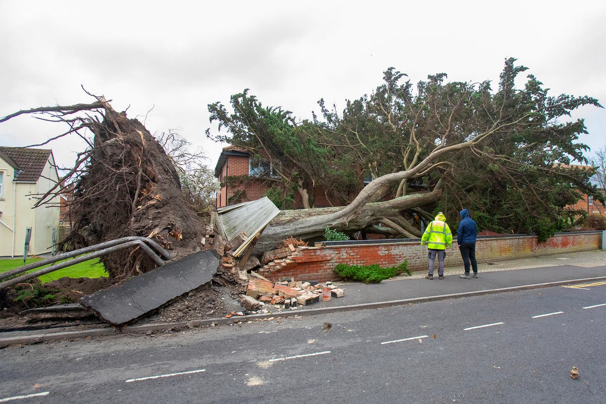 Storm Darragh latest: Second person dies as tree falls onto car while UK faces further weather warnings