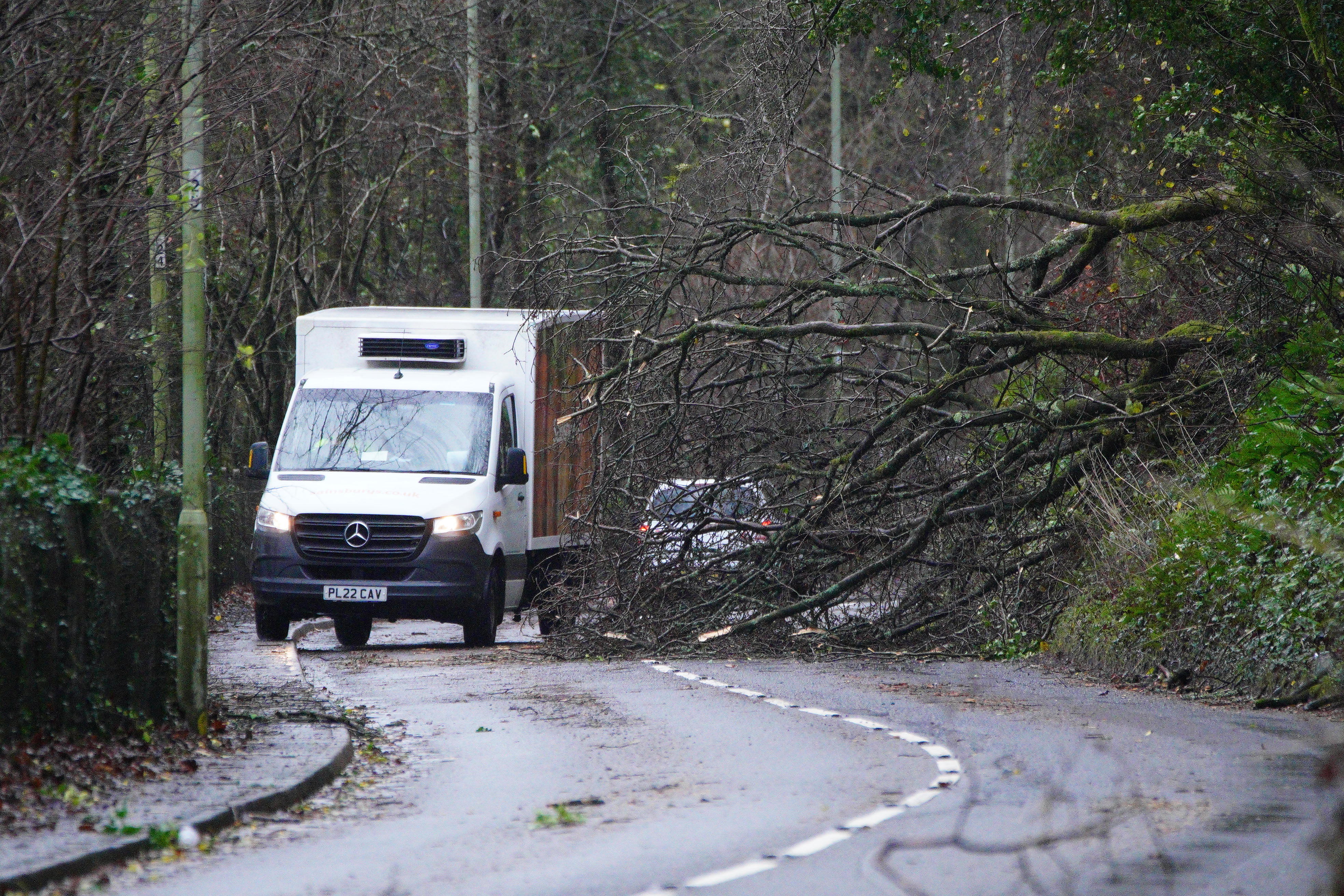 Man dies after tree falls on van as Storm Darragh lashes UK | The ...