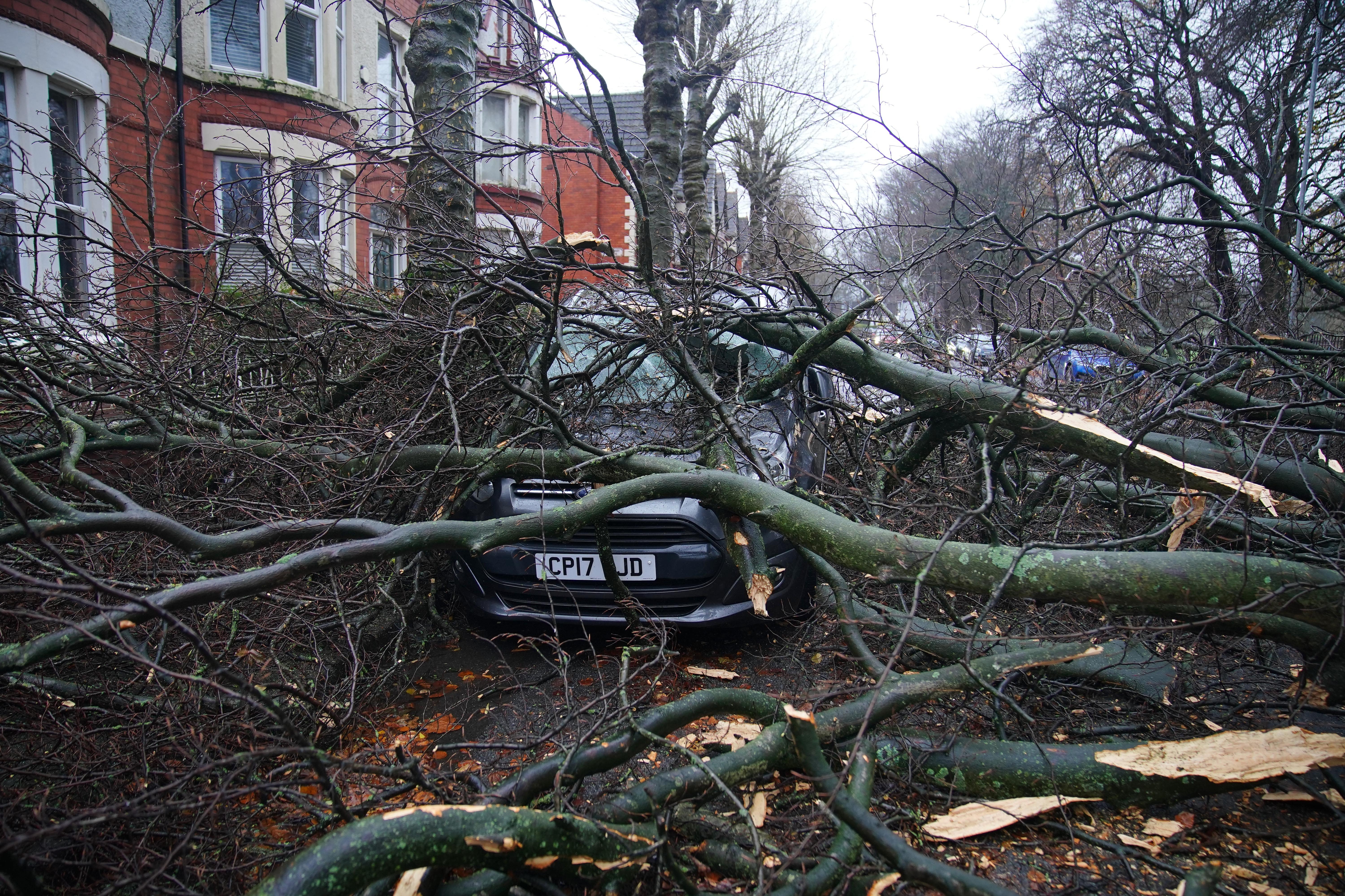 The branches of a tree which landed on a car in Liverpool on Saturday (Pater Byrne/PA)