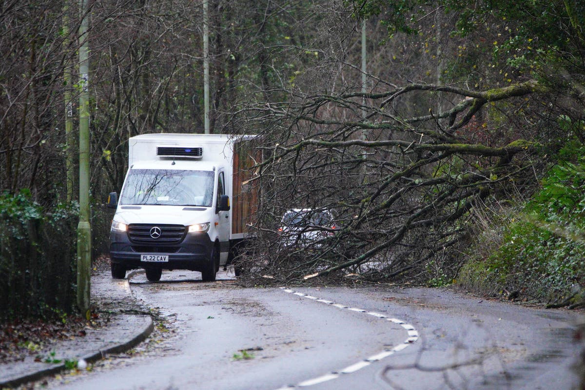 Second person killed in Storm Darragh after tree falls on car